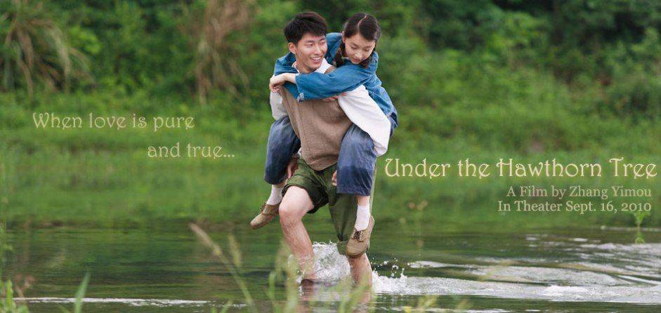 Chuyện Tình Cây Táo Gai Chuyện Tình Cây Táo Gai