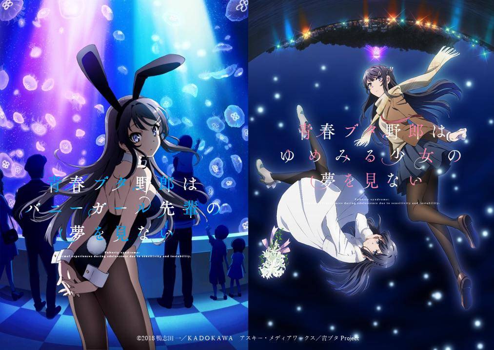 Seishun Buta Yaro wa Yumemiru Shoujo no Yume wo Minai Seishun Buta Yaro wa Yumemiru Shoujo no Yume wo Minai