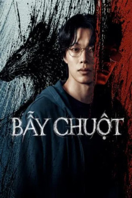 Bẫy Chuột